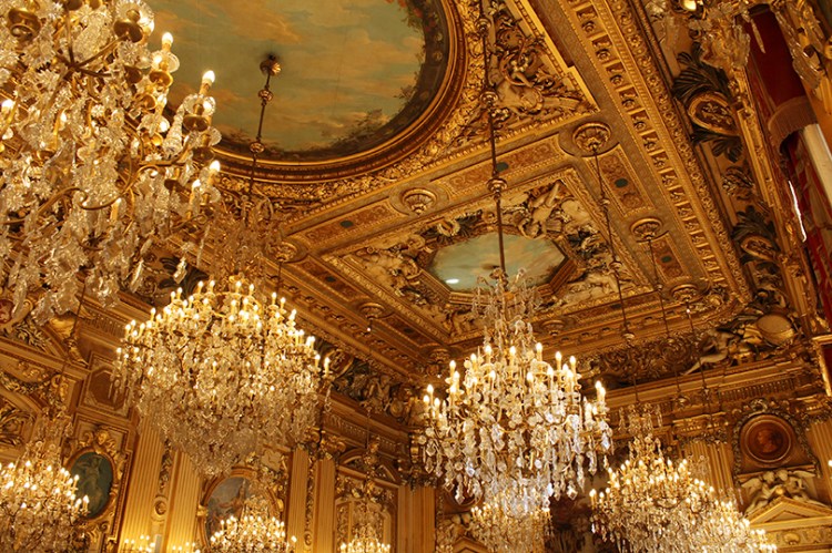 blog,animal,hôtel,ville,vacances,sensible,lyon,lumières,pampilles