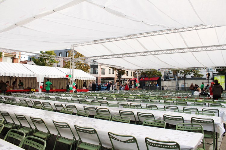 blog,animal,versailles,ville,vacances,sensible,fête,concert,lumières