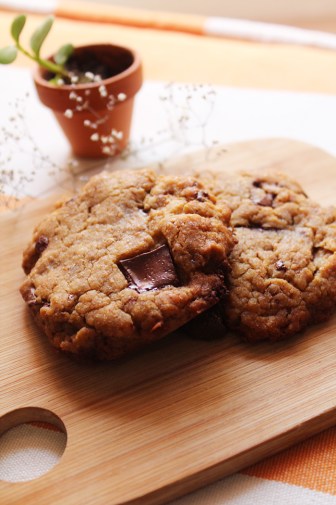 blog,okara,petite,animal,sensible,recettes,cookies,goûter,dessert,sucre,test,vegan,végétalien,américain