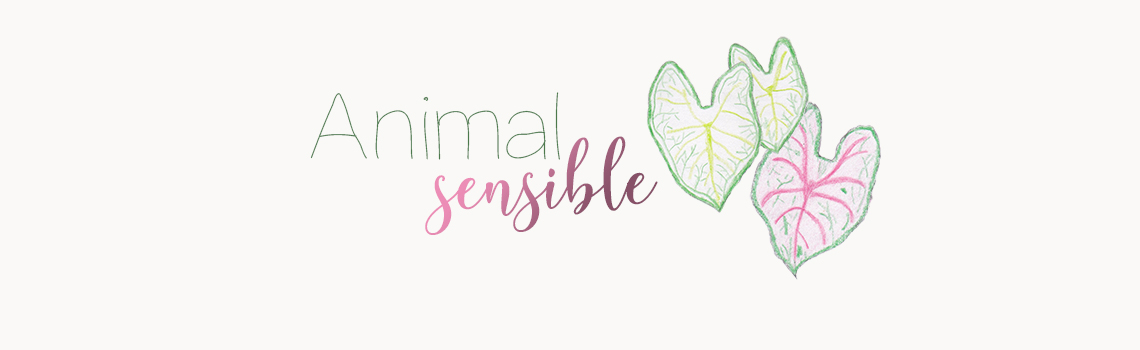 Animal Sensible